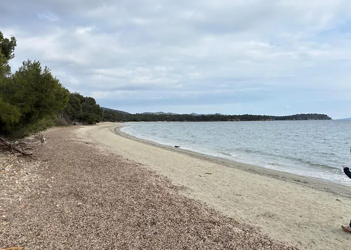 Grand T2 Dernier Etage Avec Garage A Moins De 300 M Du Centre Et